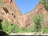 Zion NP