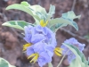 Utah 2014