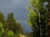Utah 2014