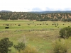 141001 Utah SR12-2-5