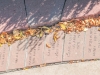 141006 Monticello