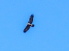 141007 US 191-6