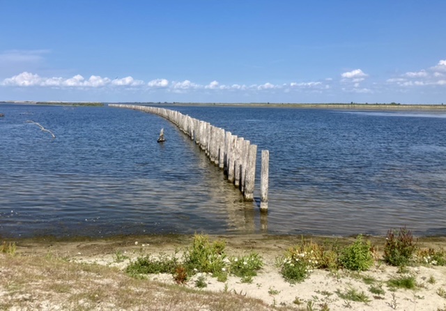 Marker Wadden