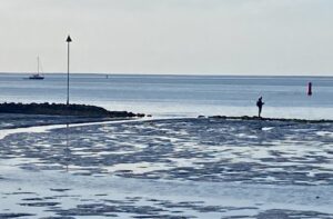 Visser op de Wadden