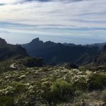 Vulkaansteen rond El Teide