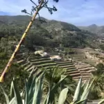 Vallei op La Gomera bij Hermosa